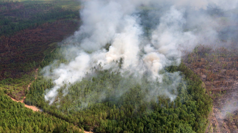 В пяти районах Иркутской области прогнозируется чрезвычайный класс пожарной опасности